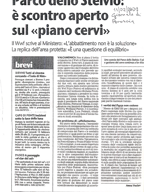 Ci son troppi cervi.........